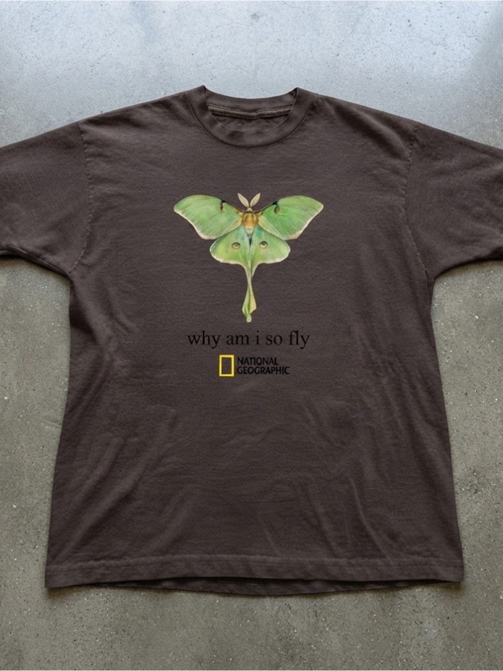 Unique Insect Art Graphic Gildan T-Shirt Dark Brown Crewneck